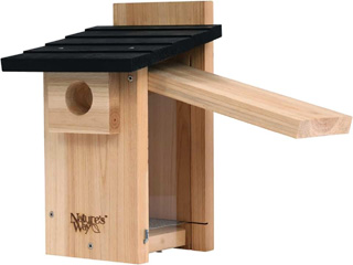 blue bird house pic3